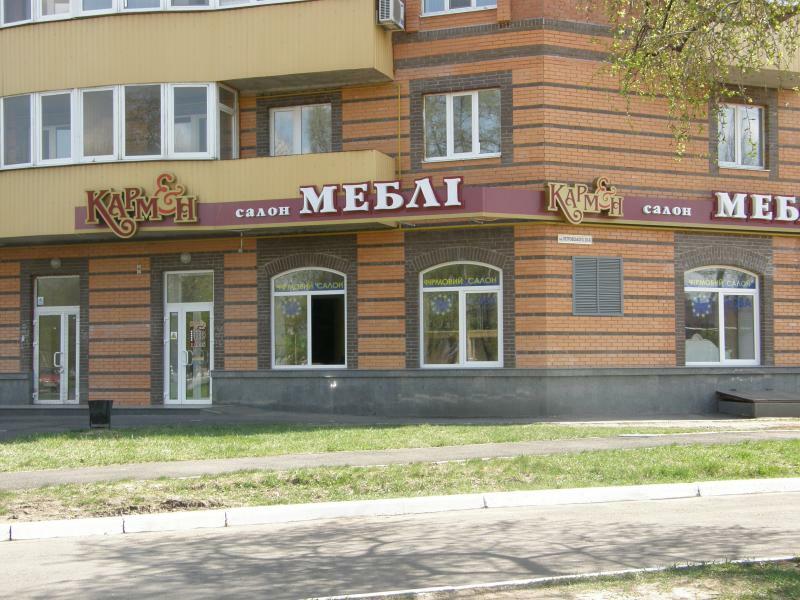 Полтава, Віктора Андрієвського вул., 29