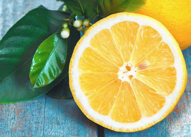 Как вырастить лимонное дерево дома: пошаговая инструкция