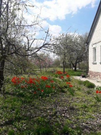 Киев, Садовый пер., 6