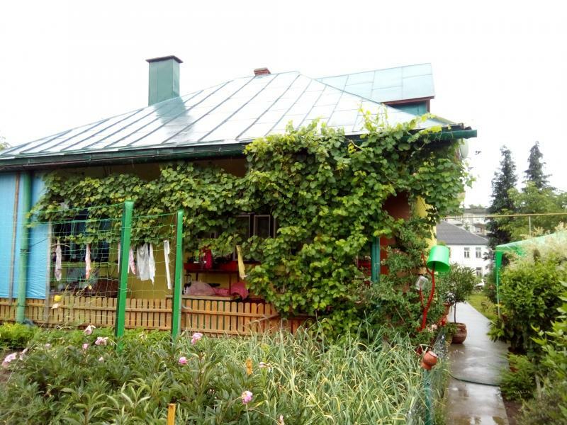 Закарпатская обл., Тячевский район, пгт Буштыно, Майская ул., 13
