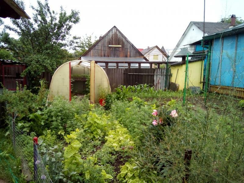 Закарпатская обл., Тячевский район, пгт Буштыно, Майская ул., 13