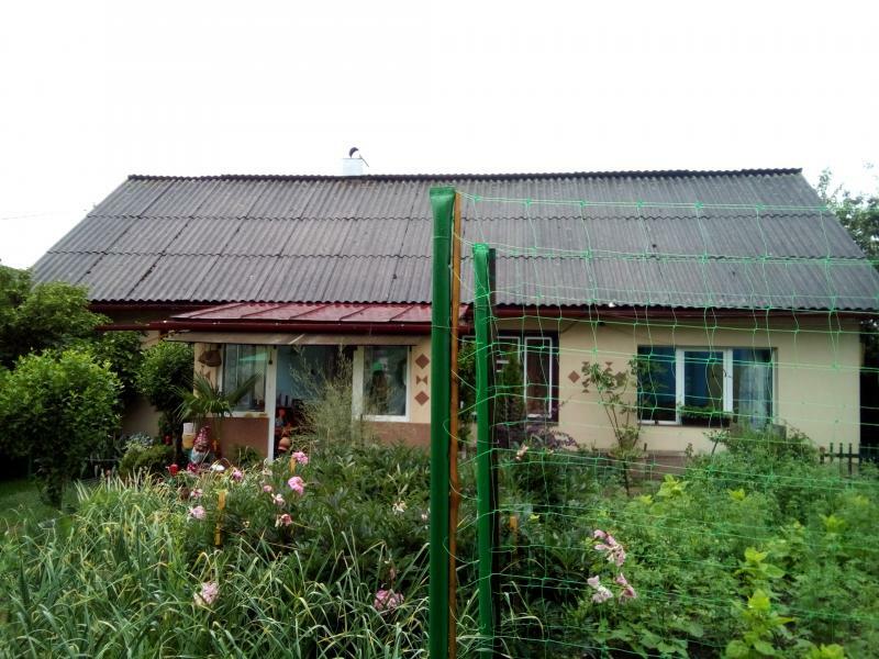 Закарпатская обл., Тячевский район, пгт Буштыно, Майская ул., 13