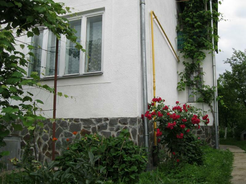 Закарпатская обл., Свалявский район, г. Свалява, Достоевского ул., 63