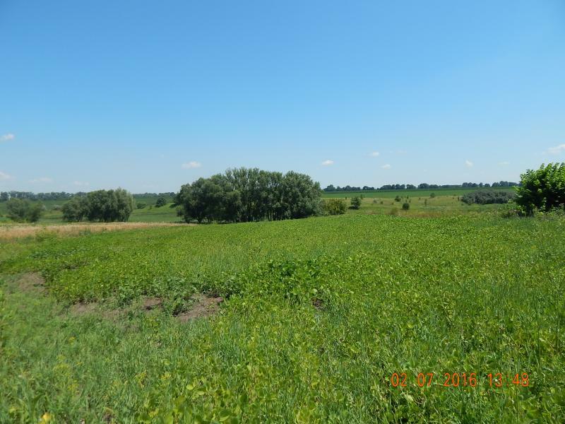 Киевская обл., Кагарлыкский район, с. Ставы, Полевая ул., 77