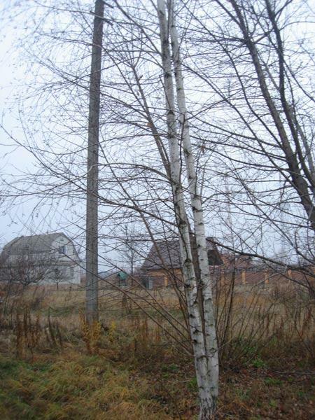 Киевская обл., Кагарлыкский район, с. Стайки, Полевая ул., 32