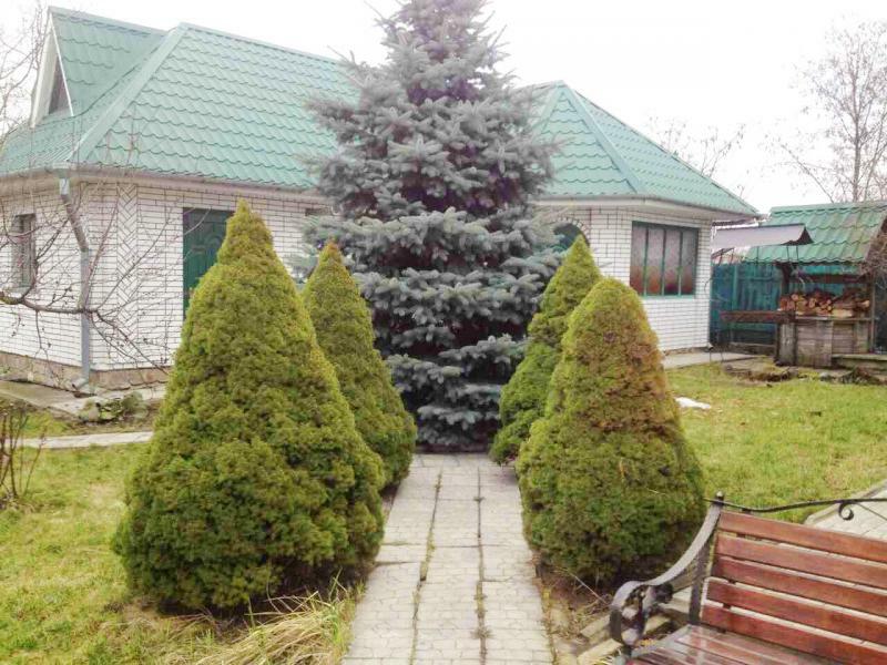 Київська обл., Києво-Святошинський район, с. Тарасівка, Олени Дубенчук вул., 3