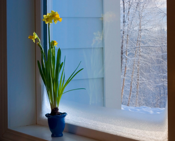 Как самостоятельно утеплить окна энергосберегающей пленкой