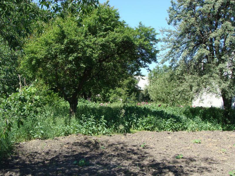 Київська обл., Фастівський район, м. Фастів, Лермонтова вул., 11