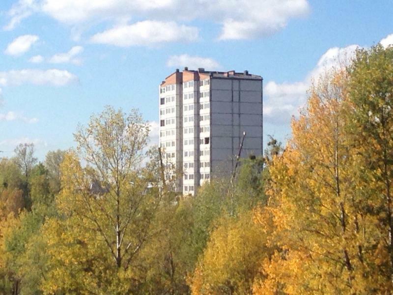 Киевская обл., Вышгородский район, с. Новые Петровцы, Ватутина ул., 10