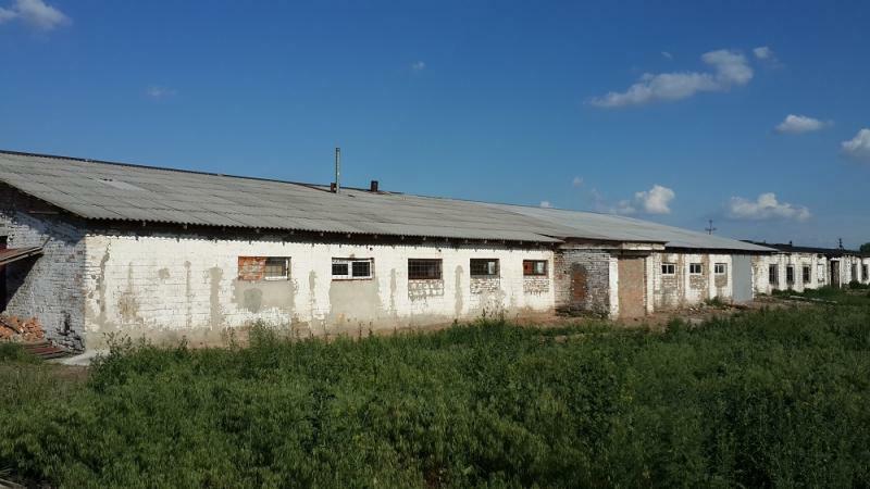 Киевская обл., Вышгородский район, с. Высшая Дубечня, Ленина ул., 71