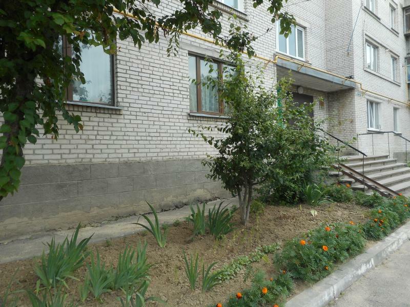 Киевская обл., Фастовский район, г. Фастов, Соборная ул., 66