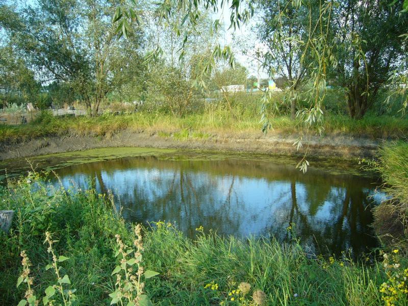 Луганська обл., Старобільський район, м. Старобільск, Кирова вул., 2Е