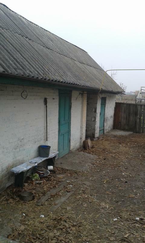 Киевская обл., Бородянский район, пгт Немешаево, Чкалова ул., 3