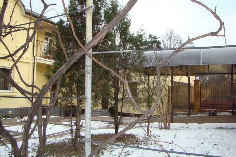 Киев, Лесозащитная ул., 7