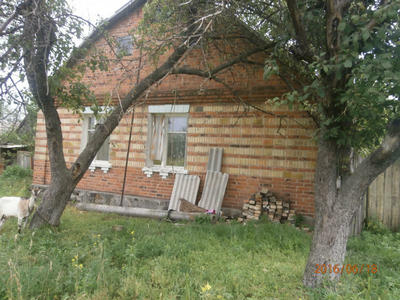 Киевская обл., Бородянский район, пгт Бабинцы, 1 Мая ул., 8