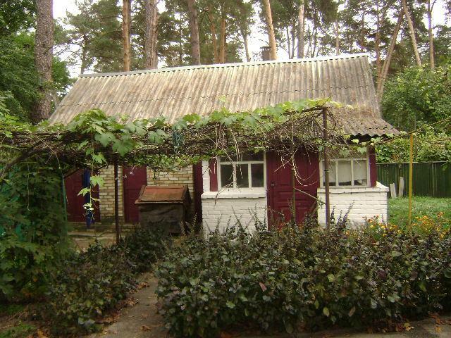 Киевская обл., Бородянский район, пгт Немешаево, Лесная ул., 1