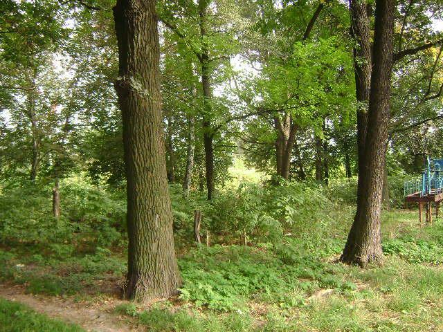 Киевская обл., Бородянский район, пгт Немешаево, Лесная ул., 1