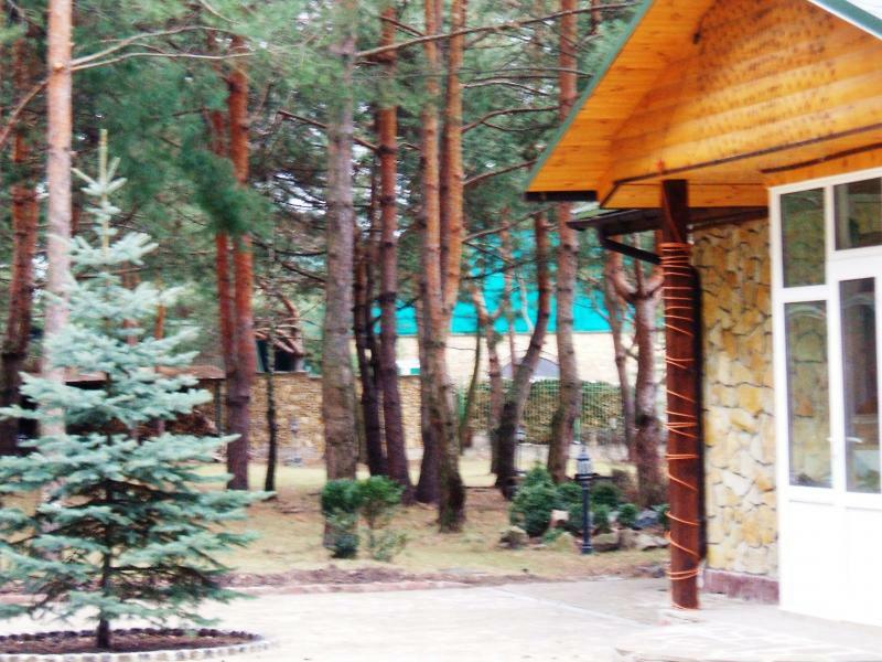 Київська обл., Києво-Святошинський район, с. Забір`я, Сосновая вул., 12