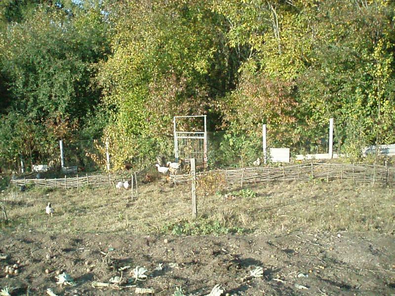 Киевская обл., Васильковский район, г. Васильков, Киевская ул., 28
