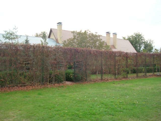 Киевская обл., Бориспольский район, с. Вишенки, Героев Космоса ул., 28