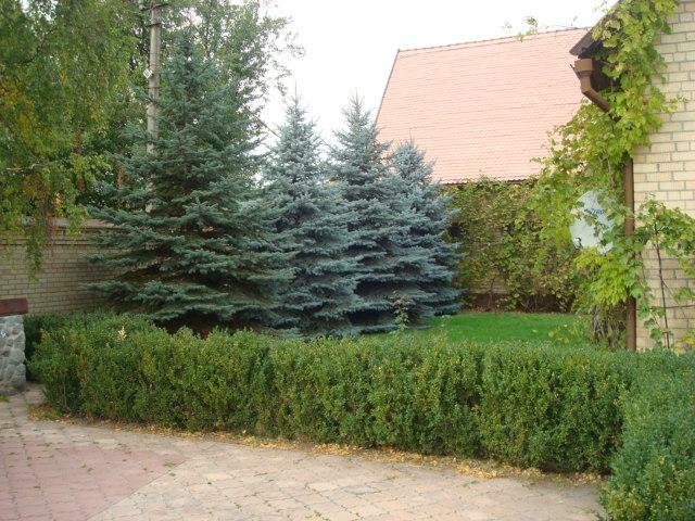 Киевская обл., Бориспольский район, с. Вишенки, Героев Космоса ул., 28