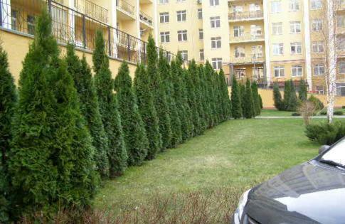 Київ, Печерська пл., 1