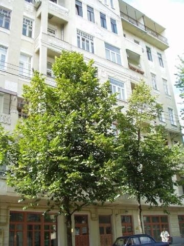 Київ, Олеся Гончара вул., 30А