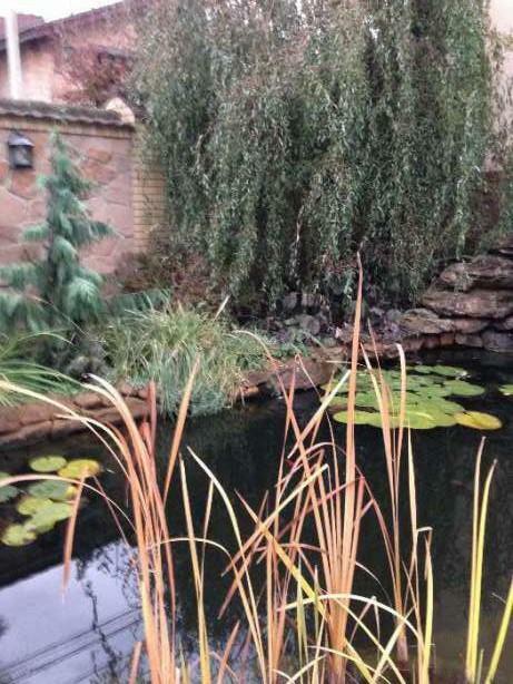 Київська обл., Києво-Святошинський район, с. Гореничі, Садівна вул., 5