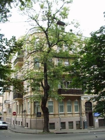 Оренда 3-кімнатної квартири 90 м², Мала Житомирська вул., 16/3