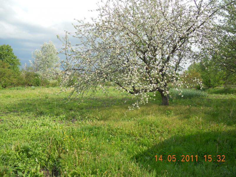 Харківська обл., Балаклійський район, смт Андріївка, Ленина вул., 8