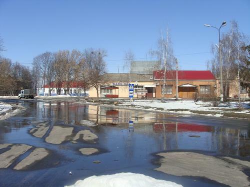 Киевская обл., Бориспольский район, с. Дударков, Гоголя ул., 4