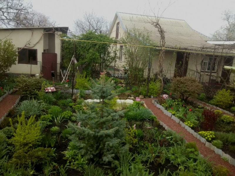 Одеська обл., Роздільнянський район, м. Роздільна, Старченко вул., 115