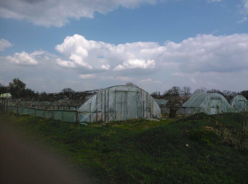 Киевская обл., Броварской район, с. Покровское, Жовтнева ул., 16