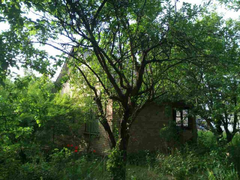 Київська обл., Києво-Святошинський район, с. Бобриця, Садовая вул., 25