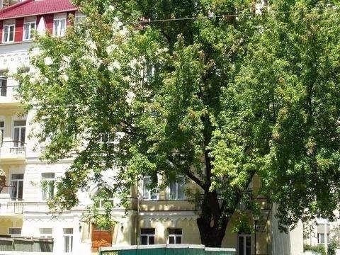 Киев, Дмитриевская ул., 44Б