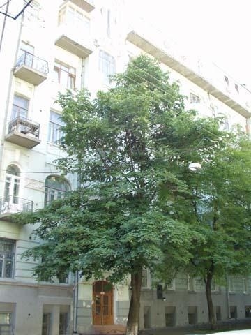 Киев, Заньковецкой ул., 7