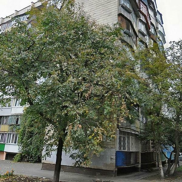 Київ, Івана Виговського вул., 4