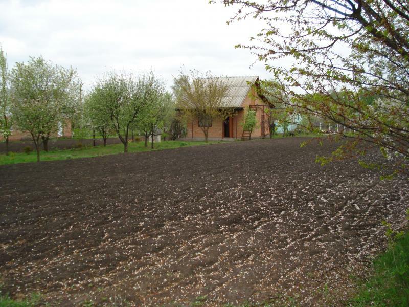Полтавская обл., Гребенковский район, г. Гребенка, Гоголя ул., 11