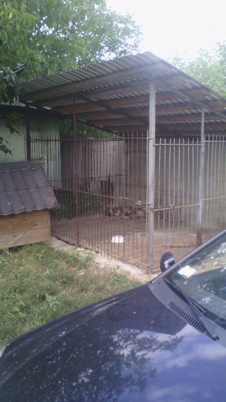 Киевская обл., Бориспольский район, г. Борисполь, Василия Стуса ул., 33