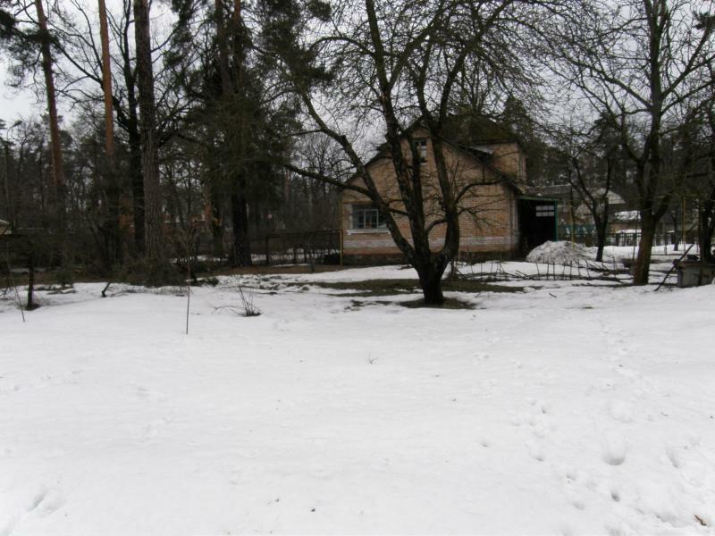 Киевская обл., Бородянский район, пгт Клавдиево-Тарасово, Ленина ул., 52