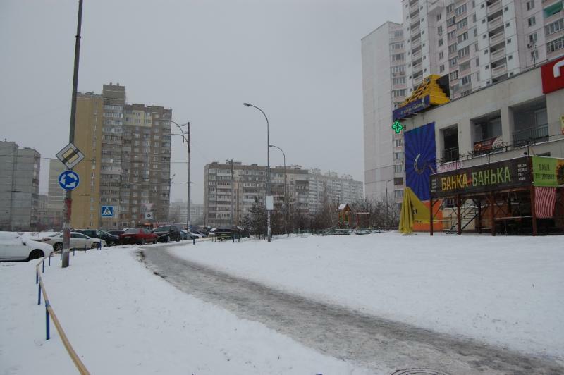 Киев, Милославская ул., 43
