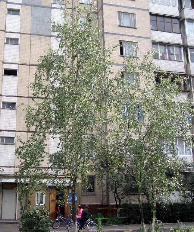 Киев, Тростянецкая ул., 3