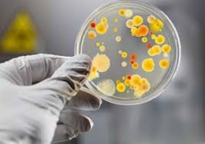 Ботулизм в Украине: проблемы безопасности продуктов питания 