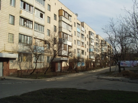 Киев, Гончарова ул., 21