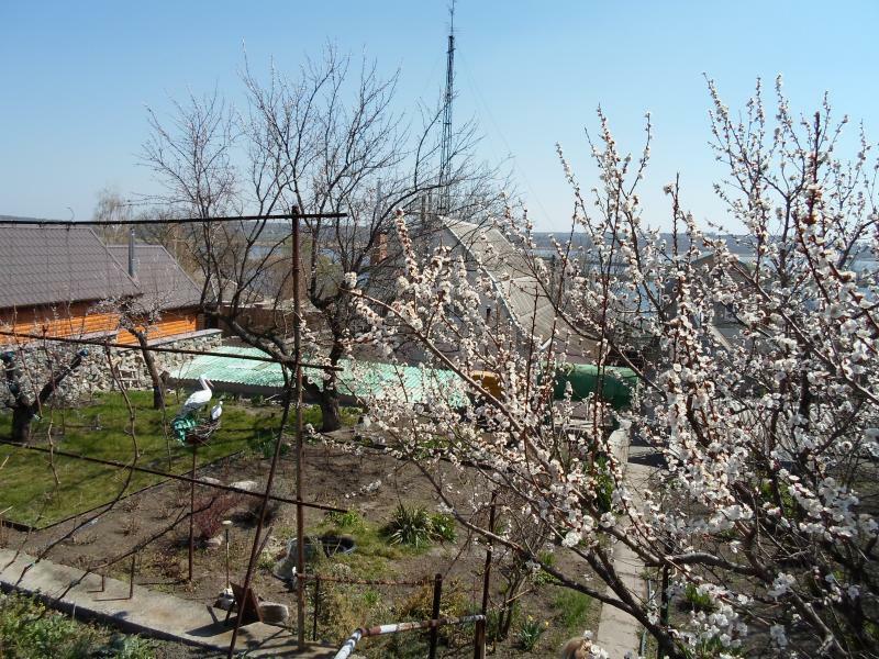Запорізька обл., Запорізький район, смт Малокатеринівка, Прибрежная вул., 109