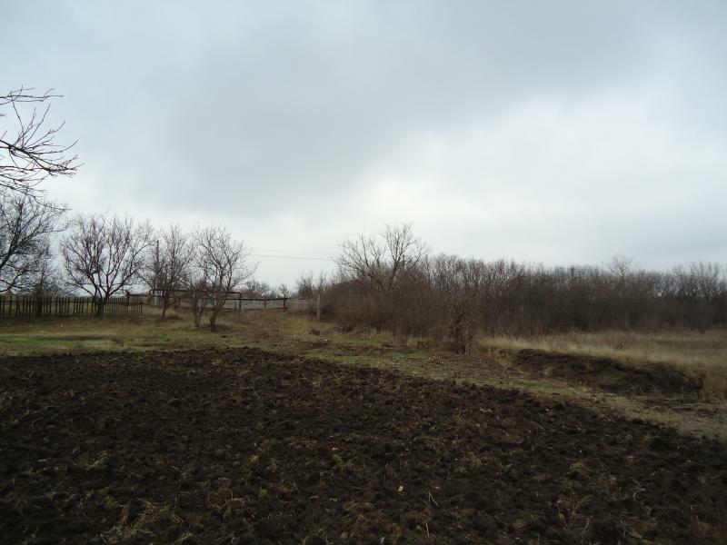 Запорізька обл., Запорізький район, с. Ручаївка, Шевченко вул., 29