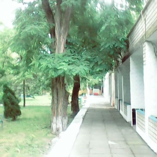 Херсонська обл., Голопристанський район, с. Залізний Порт, Морская вул., 1