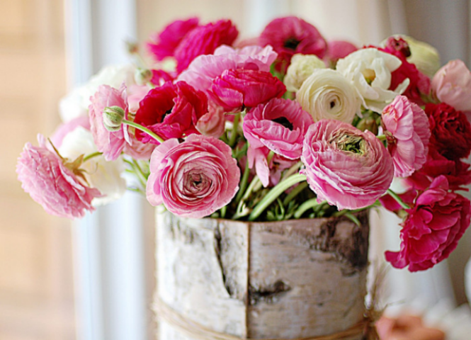 Как продлить жизнь цветам, поставленным в вазу: топ-6 советов