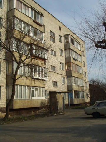 Киев, Гончарова ул., 20