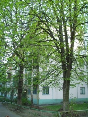 Київ, Волгоградська вул., 13